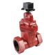 810-series-ductile-iron-threaded-nrs-gate-valve