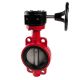 846-series-cast-iron-wafer-style-butterfly-valve-gear-drive-stainless-disc